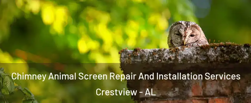 Chimney Animal Screen Repair And Installation Services Crestview - AL