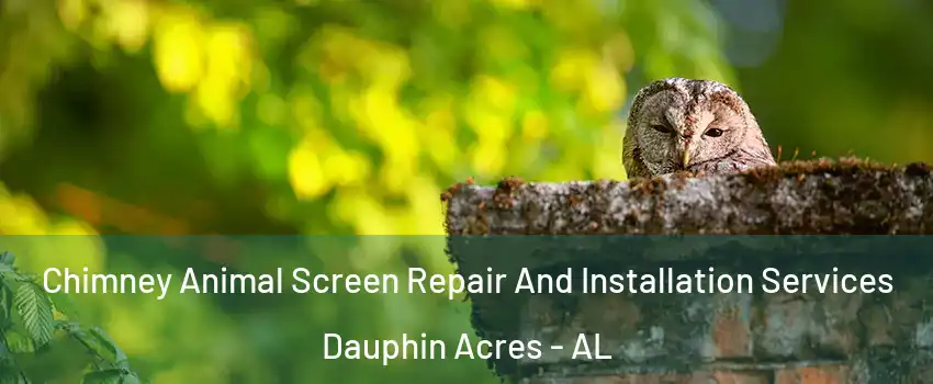 Chimney Animal Screen Repair And Installation Services Dauphin Acres - AL