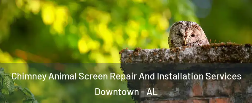 Chimney Animal Screen Repair And Installation Services Downtown - AL
