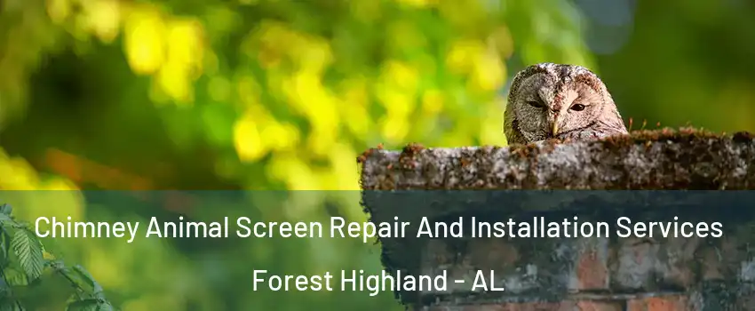 Chimney Animal Screen Repair And Installation Services Forest Highland - AL