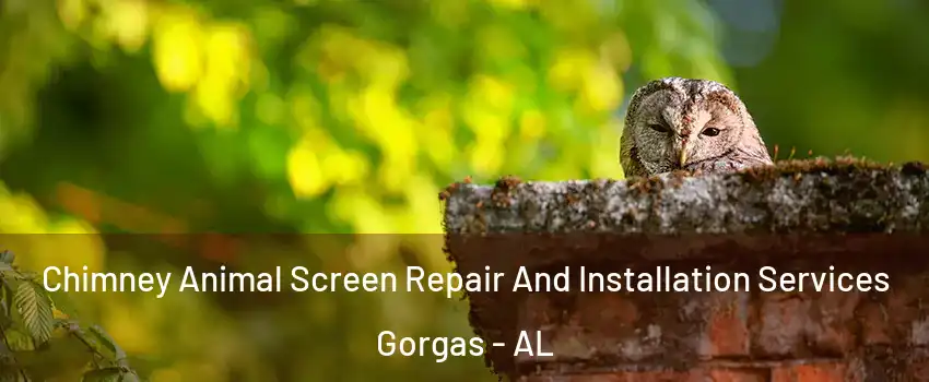 Chimney Animal Screen Repair And Installation Services Gorgas - AL