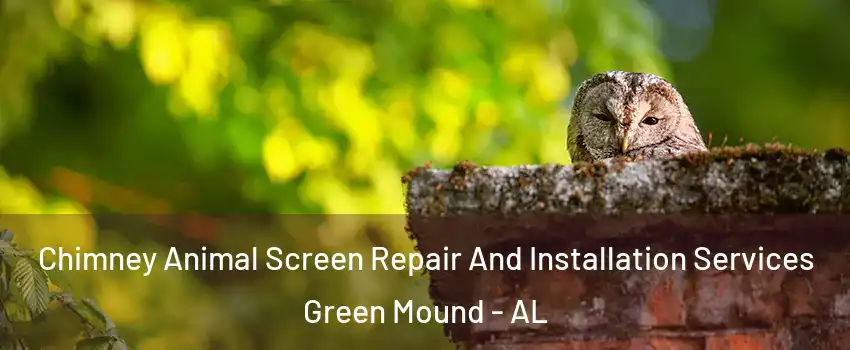 Chimney Animal Screen Repair And Installation Services Green Mound - AL