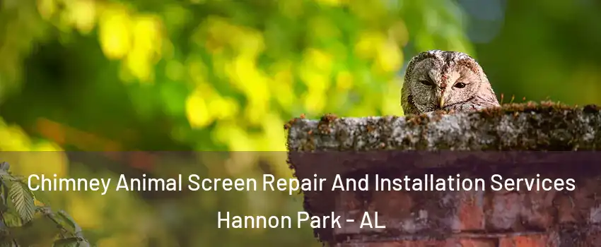 Chimney Animal Screen Repair And Installation Services Hannon Park - AL