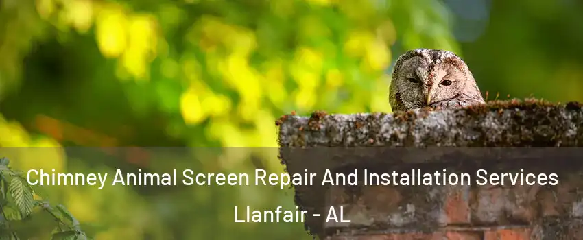 Chimney Animal Screen Repair And Installation Services Llanfair - AL