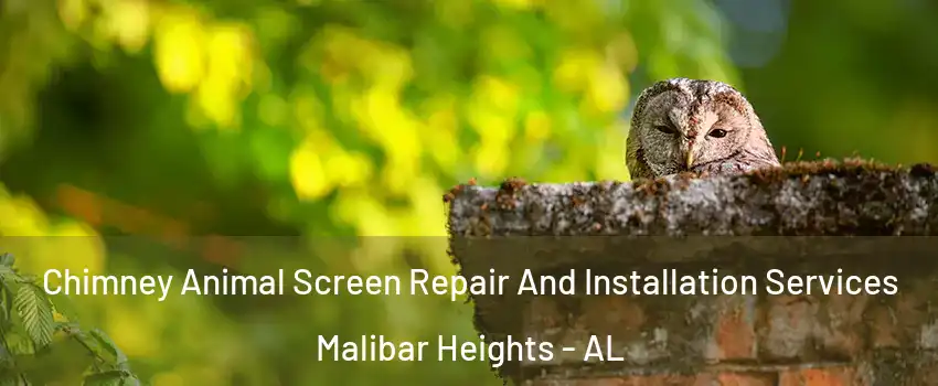 Chimney Animal Screen Repair And Installation Services Malibar Heights - AL