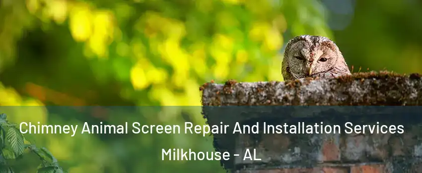 Chimney Animal Screen Repair And Installation Services Milkhouse - AL