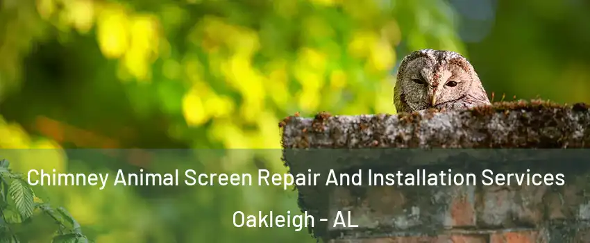Chimney Animal Screen Repair And Installation Services Oakleigh - AL