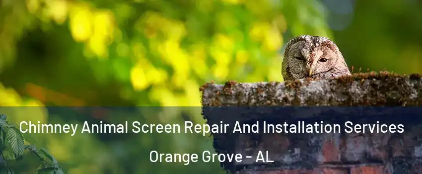 Chimney Animal Screen Repair And Installation Services Orange Grove - AL