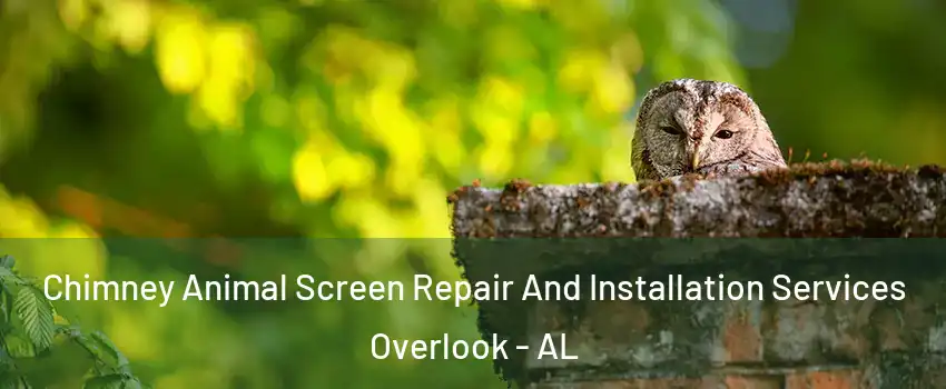 Chimney Animal Screen Repair And Installation Services Overlook - AL