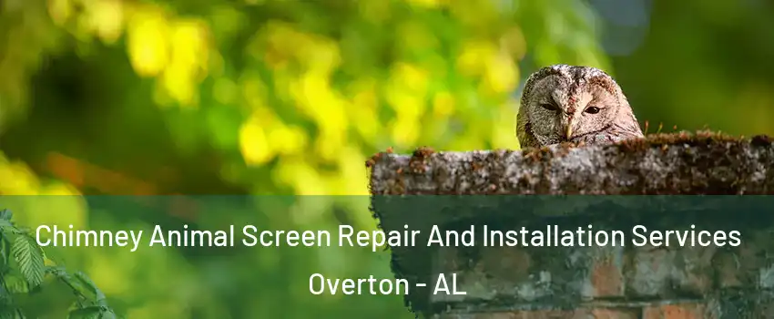 Chimney Animal Screen Repair And Installation Services Overton - AL