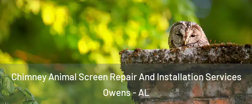 Chimney Animal Screen Repair And Installation Services Owens - AL