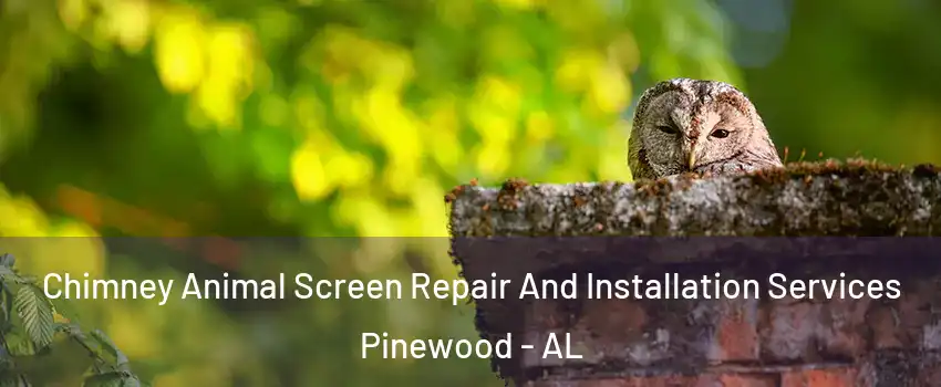 Chimney Animal Screen Repair And Installation Services Pinewood - AL