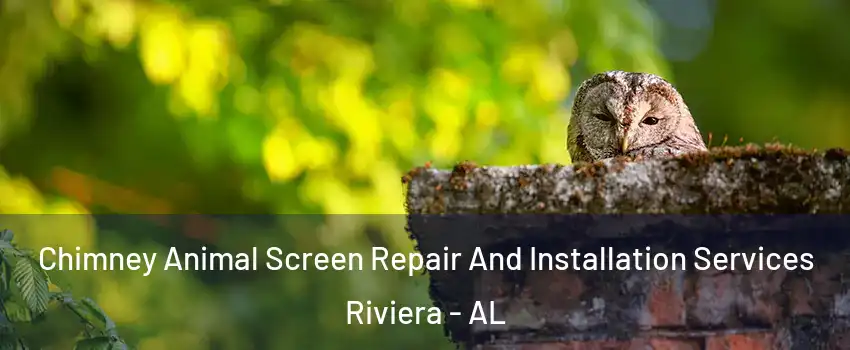 Chimney Animal Screen Repair And Installation Services Riviera - AL