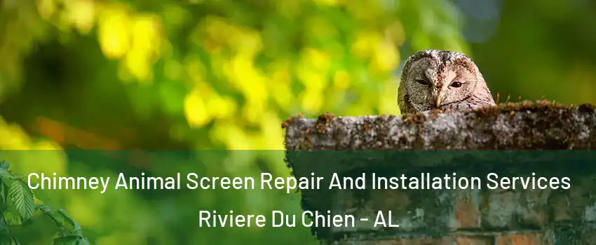 Chimney Animal Screen Repair And Installation Services Riviere Du Chien - AL