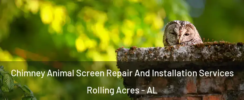 Chimney Animal Screen Repair And Installation Services Rolling Acres - AL