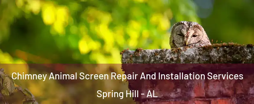 Chimney Animal Screen Repair And Installation Services Spring Hill - AL