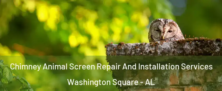 Chimney Animal Screen Repair And Installation Services Washington Square - AL