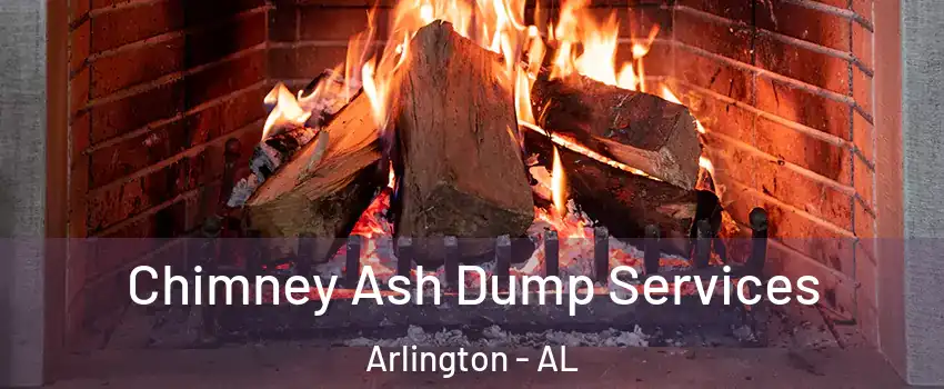 Chimney Ash Dump Services Arlington - AL