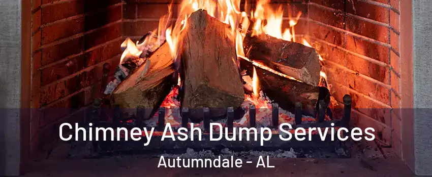 Chimney Ash Dump Services Autumndale - AL