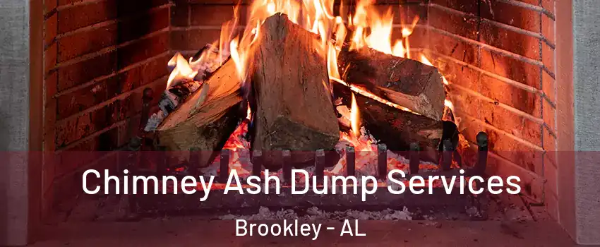 Chimney Ash Dump Services Brookley - AL