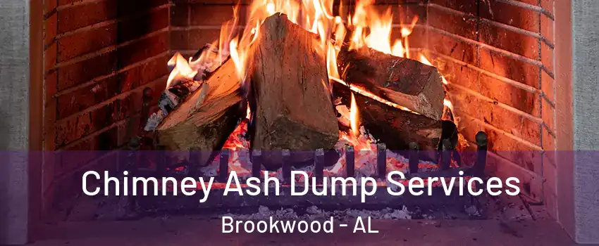 Chimney Ash Dump Services Brookwood - AL