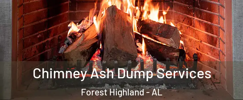 Chimney Ash Dump Services Forest Highland - AL