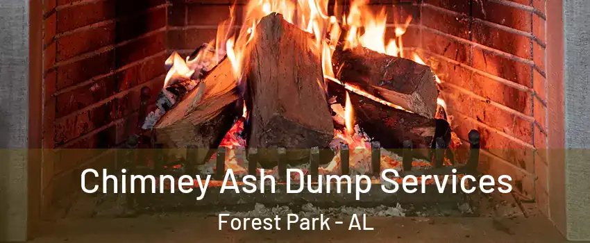 Chimney Ash Dump Services Forest Park - AL