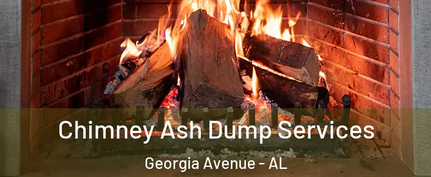 Chimney Ash Dump Services Georgia Avenue - AL