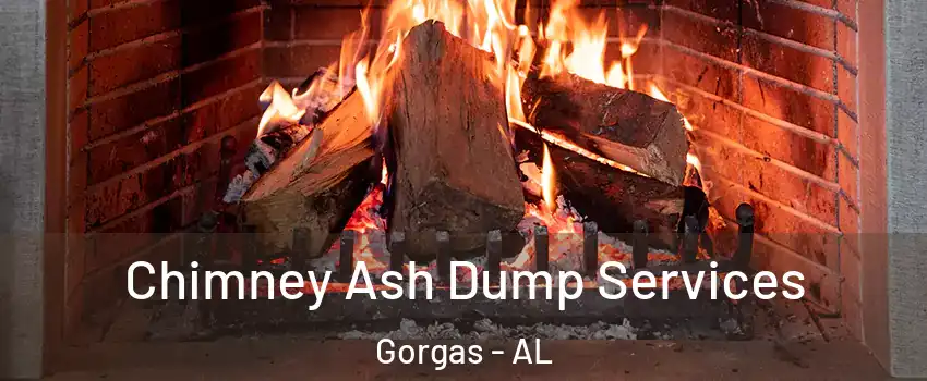 Chimney Ash Dump Services Gorgas - AL