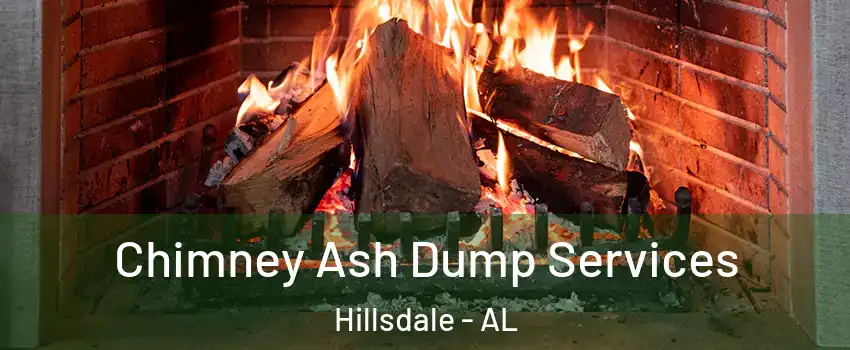 Chimney Ash Dump Services Hillsdale - AL