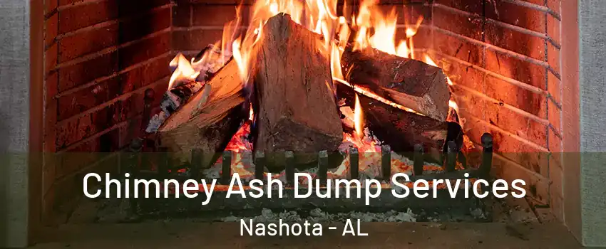 Chimney Ash Dump Services Nashota - AL