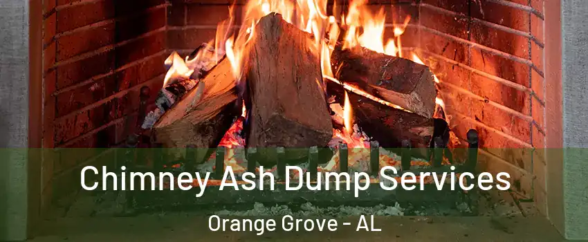 Chimney Ash Dump Services Orange Grove - AL