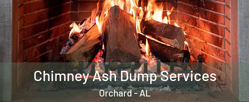 Chimney Ash Dump Services Orchard - AL