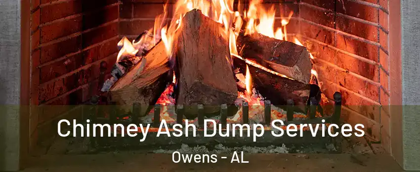 Chimney Ash Dump Services Owens - AL