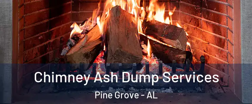 Chimney Ash Dump Services Pine Grove - AL
