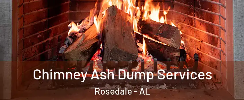 Chimney Ash Dump Services Rosedale - AL