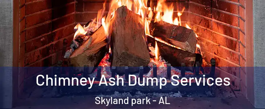 Chimney Ash Dump Services Skyland park - AL