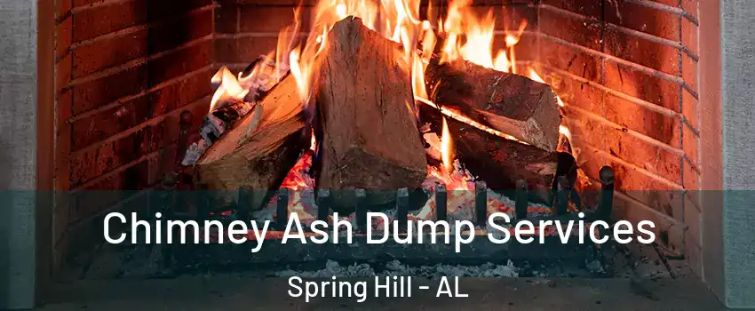 Chimney Ash Dump Services Spring Hill - AL