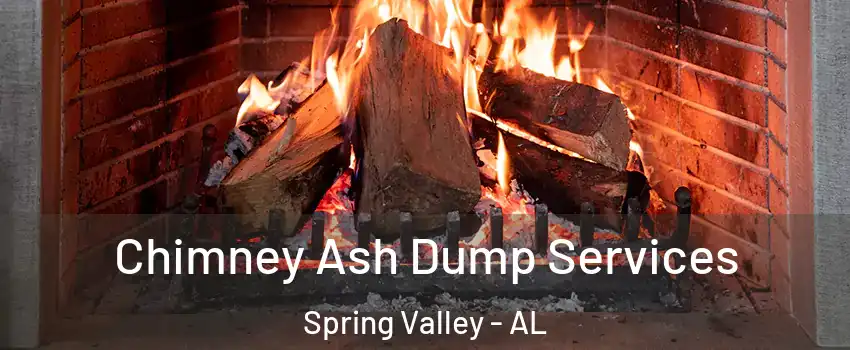 Chimney Ash Dump Services Spring Valley - AL