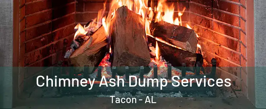 Chimney Ash Dump Services Tacon - AL