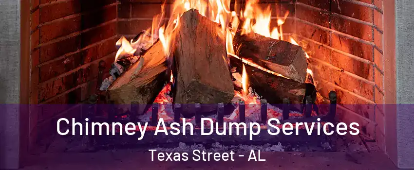 Chimney Ash Dump Services Texas Street - AL