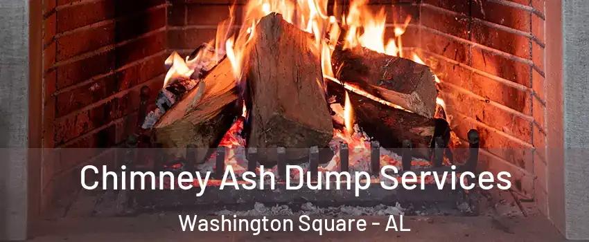 Chimney Ash Dump Services Washington Square - AL