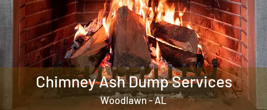 Chimney Ash Dump Services Woodlawn - AL
