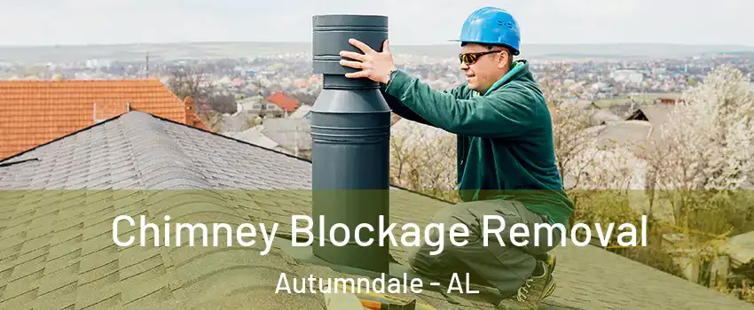 Chimney Blockage Removal Autumndale - AL