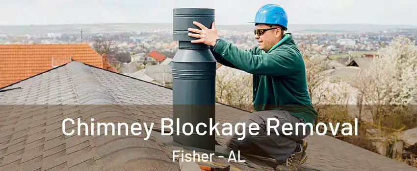 Chimney Blockage Removal Fisher - AL