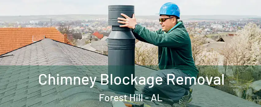 Chimney Blockage Removal Forest Hill - AL