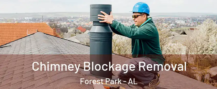 Chimney Blockage Removal Forest Park - AL