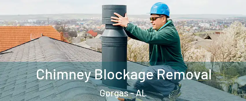 Chimney Blockage Removal Gorgas - AL