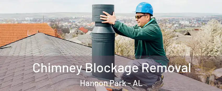 Chimney Blockage Removal Hannon Park - AL