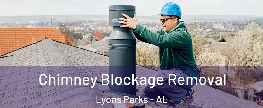 Chimney Blockage Removal Lyons Parks - AL